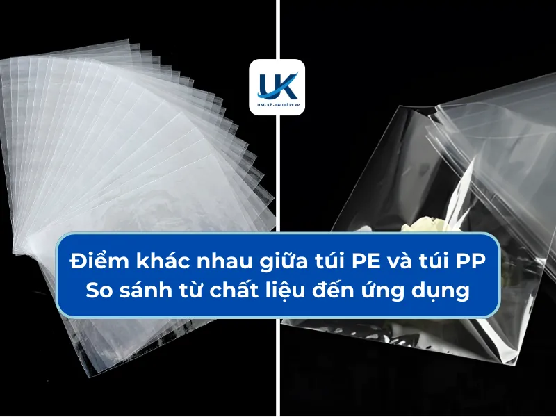 ĐIỂM KHÁC NHAU GIỮA TÚI PE VÀ TÚI PP SO SÁNH TỪ CHẤT LIÊU ĐẾN ỨNG DỤNG